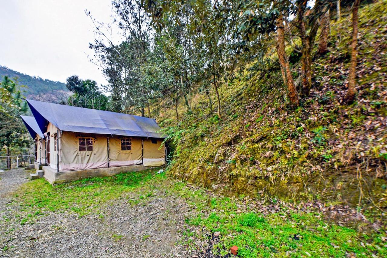 Oyo 29888 Nature Treat Hotel Chail Exterior photo